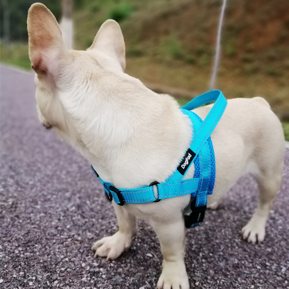 Adjustable Dog Harness and Leash Set