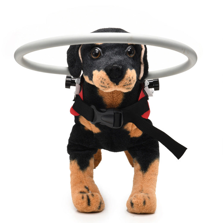 Anti-Collision Ring For Blind Dogs