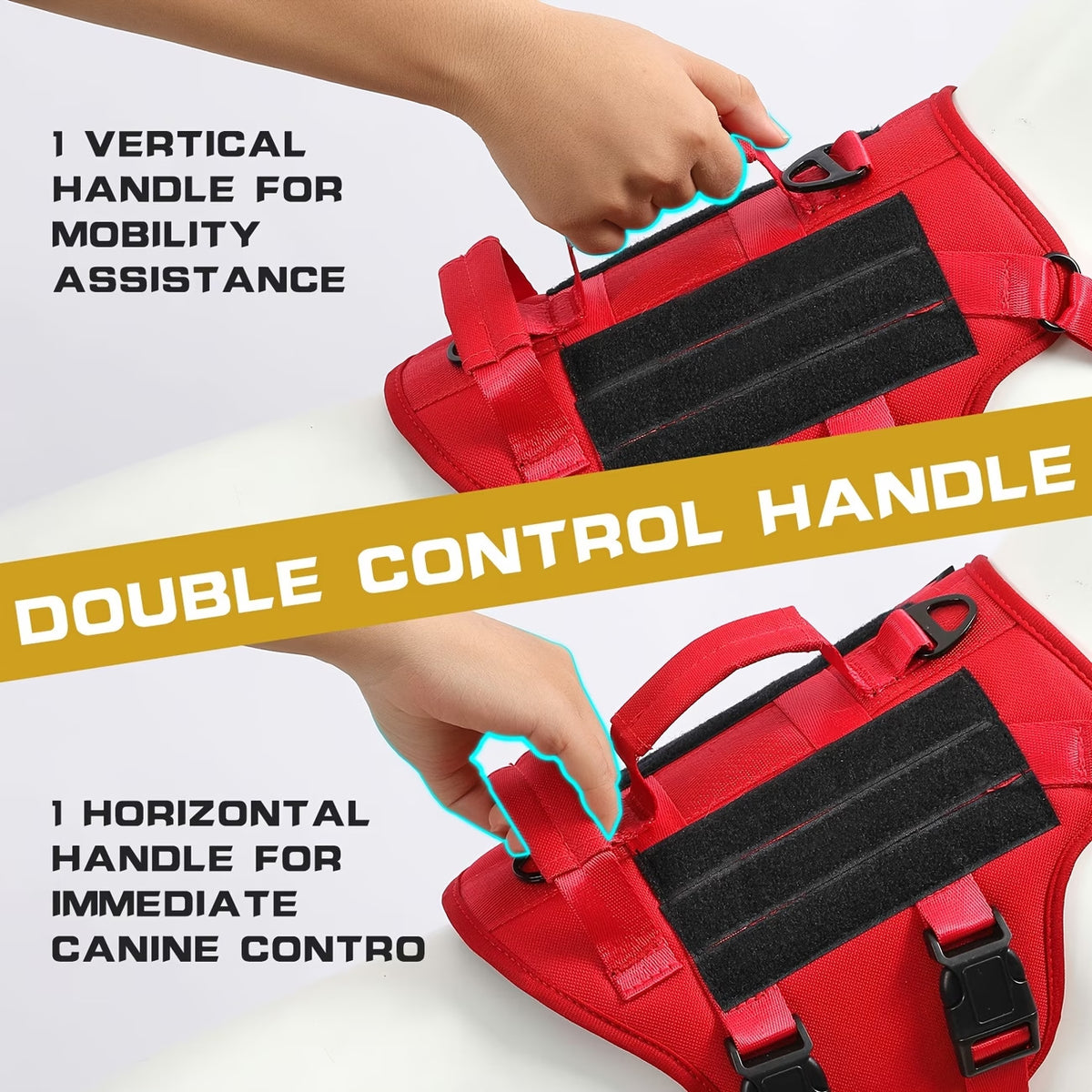 Pet Leash And Harness Option