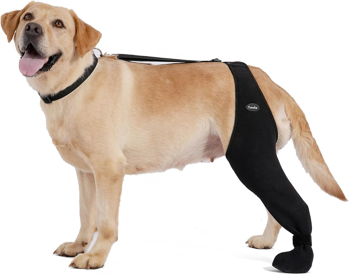 Dog Socks To Prevent Licking Paws , Breathable Leg Sleeve To Stop Licking And Biting, Firm And Secure Adjustable Size Dog Recovery Sleeve So