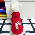 Cartoon Dog Clothes for Autumn and Winter