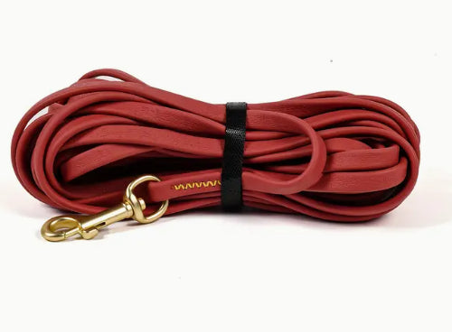 Thickened Anti-Breaking Dog Training Leash