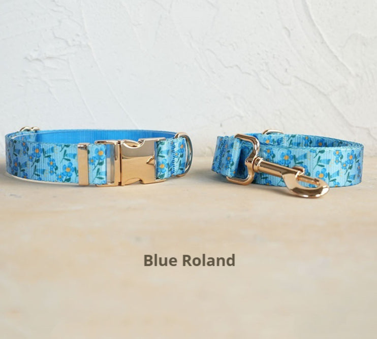 Hardware Buckle Dog Collar and Leash Set