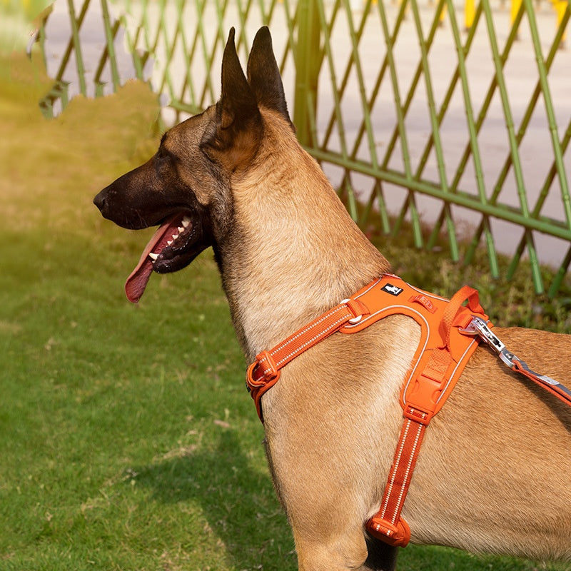 Chest Strap Camouflage Reflective Explosion-Proof Dog Supplies