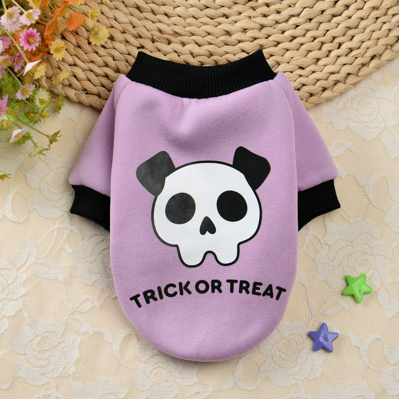 Halloween Pumpkin Skull Small Dog Sweater