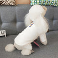 Casual Two-Legged Dog Sweater