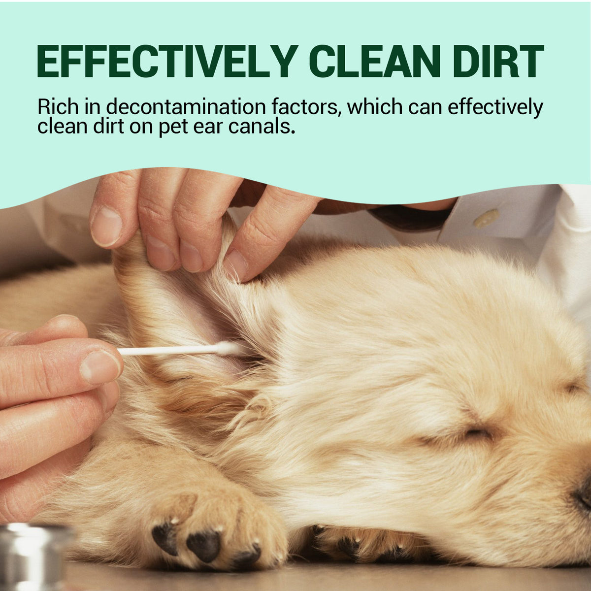 Pet Ear Cleaning Liquid 60Ml