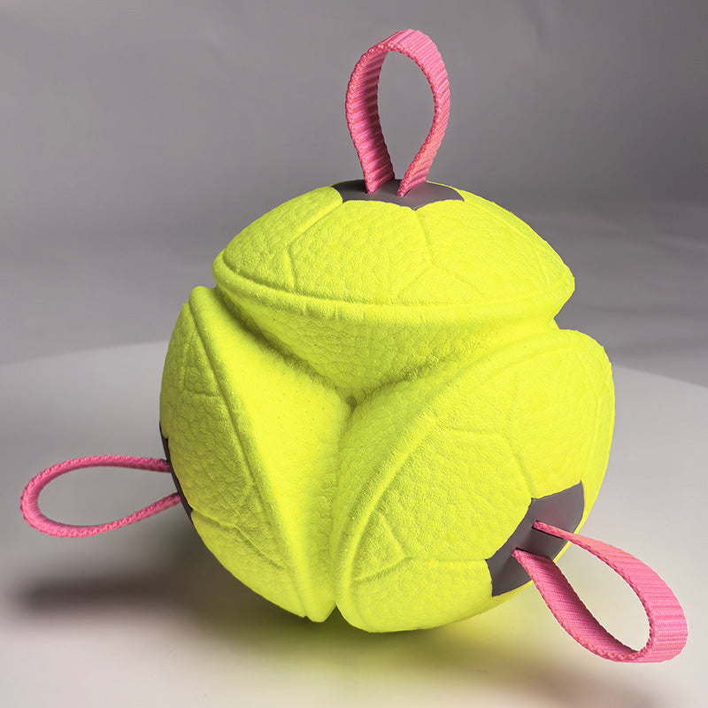 Durable Interactive Dog Toy Ball