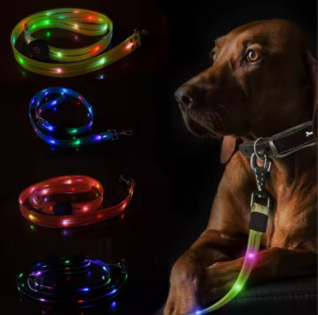 Luminous Dog Collar Colorful Pet Rope Highlight Anti-Lost Hand Holding