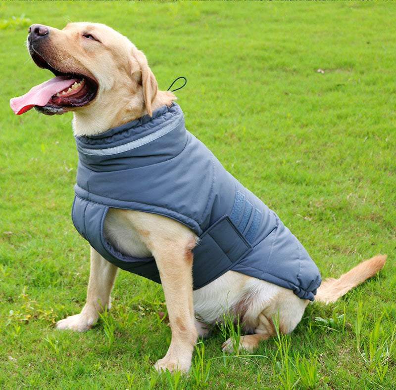 Warm Rainproof Dog Trench Coat