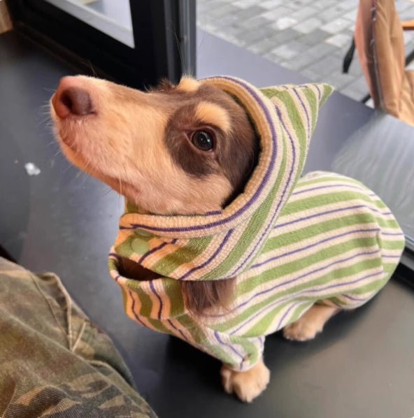 Warm Dog Vest For Autumn And Winter