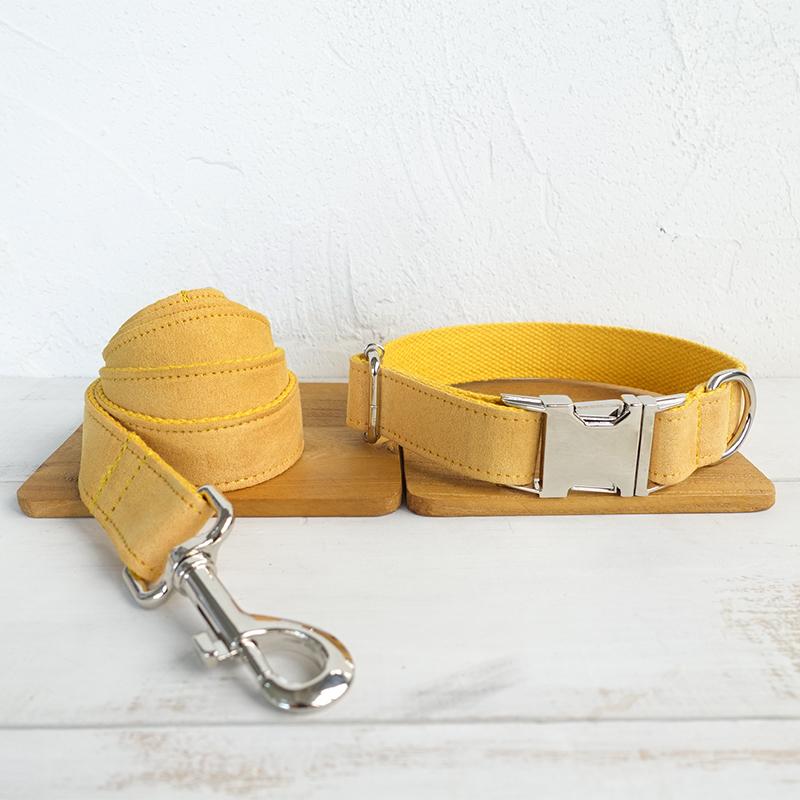 Pet Dog Collar And Traction Rope