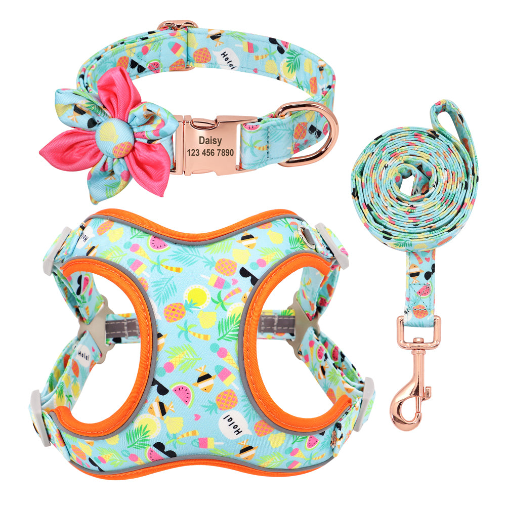 Dog Collar Leash And Strap Set