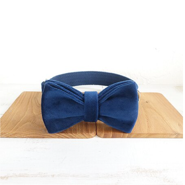 Bow Pet Collar Large And Small Pet Traction Collar Dog Chain
