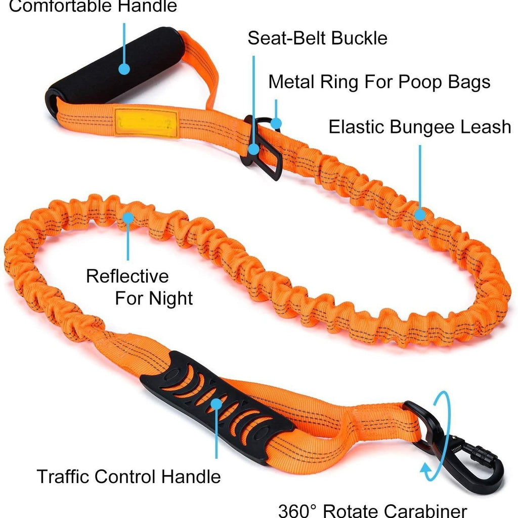 Reflective Dog Leash and Harness