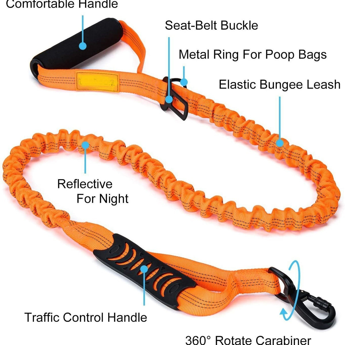Reflective Dog Leash and Harness