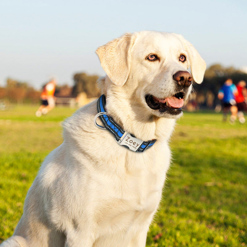 Anti-Lost Collar Alloy Metal Pet Supplies