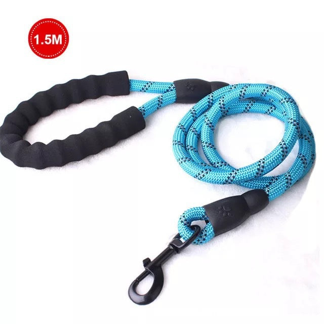 Reflective Nylon Dog Leash