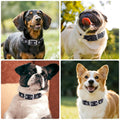 Reflective Dog Collar For Medium Dogs, Adjustable Wide Soft Comfortable Breathable Neoprene Padded Nylon Collar With Heavy Duty Metal Buckle