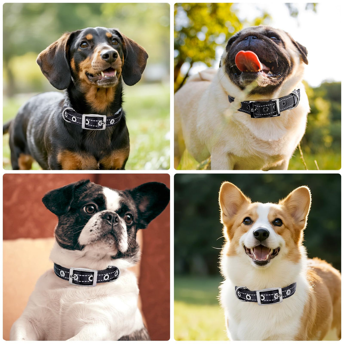 Reflective Dog Collar For Medium Dogs, Adjustable Wide Soft Comfortable Breathable Neoprene Padded Nylon Collar With Heavy Duty Metal Buckle