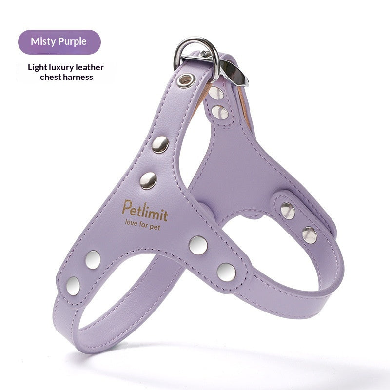 Leather Chest Harness and Leash for Small Dogs