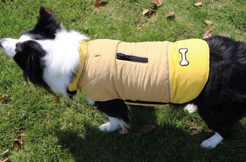 Autumn Winter Outdoor Dog Clothes