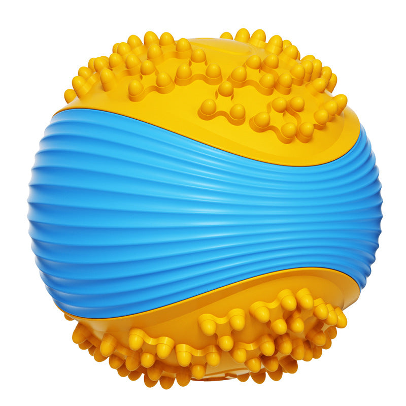 Simple Pet Toy Ball