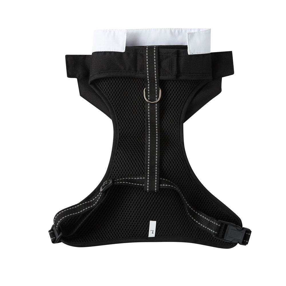 Integrated Chest Strap Harness With Hand Rope