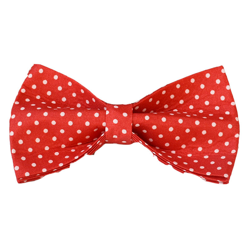 Red Dot Dog Leash Supply Pet Supplies Collar