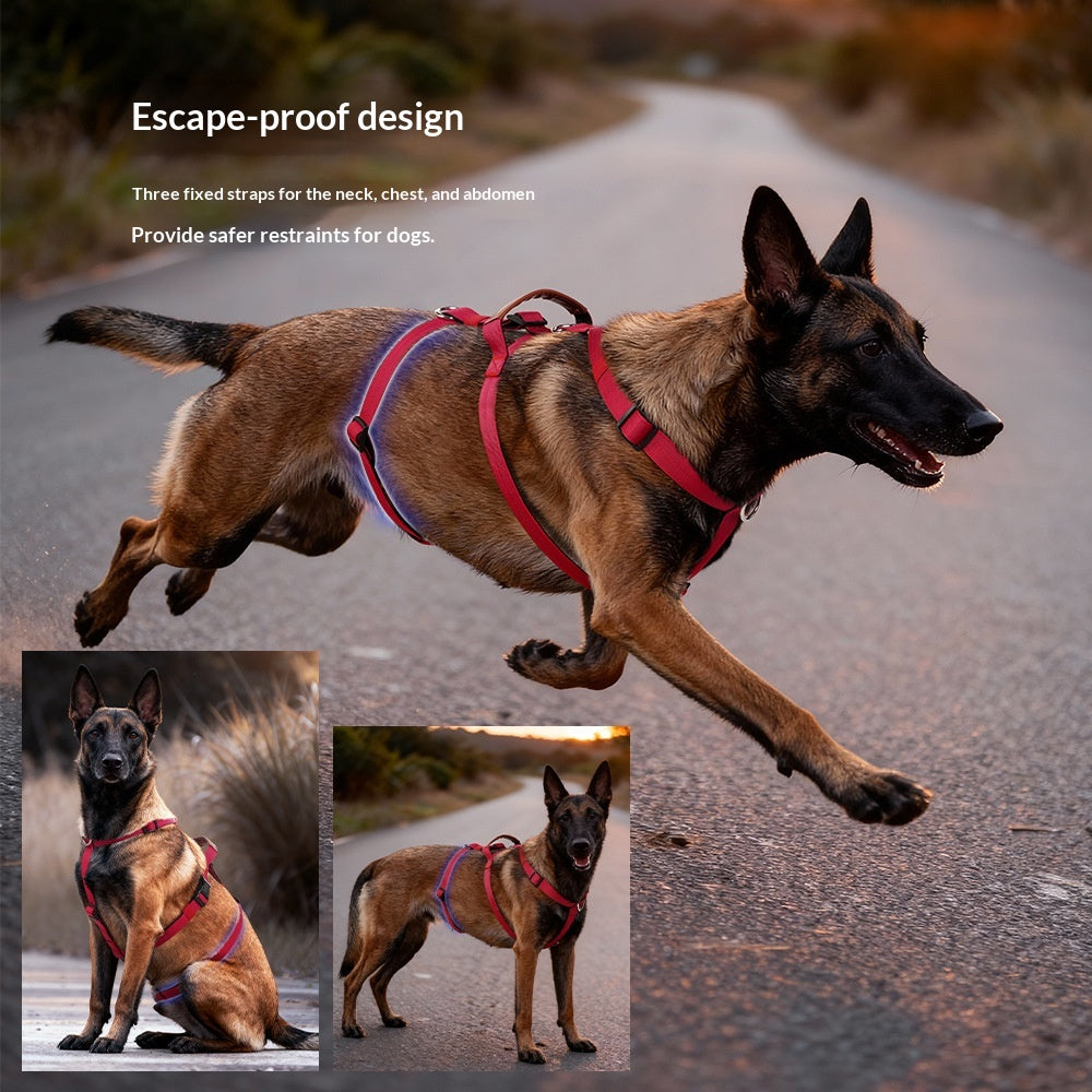 Anti-Pull Dog Leash Harness