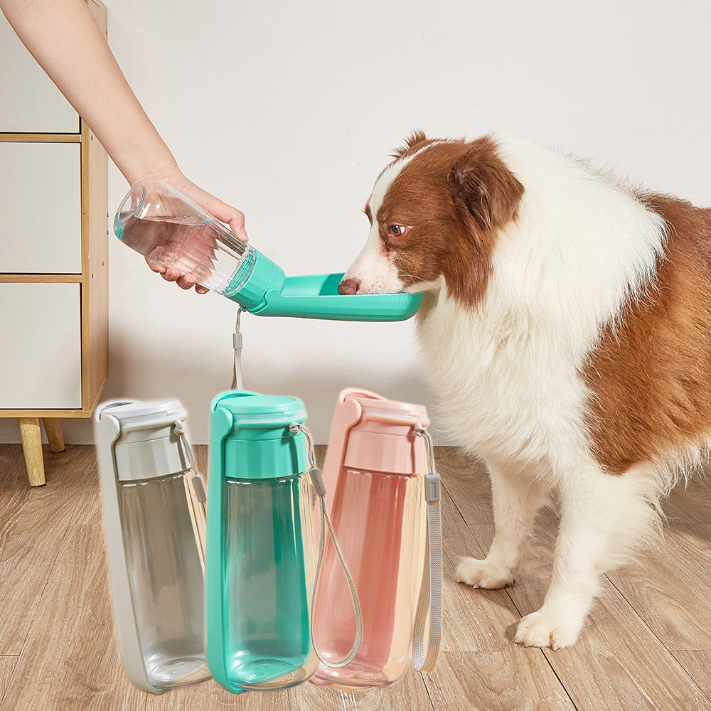 Folding Dog Water Bottle