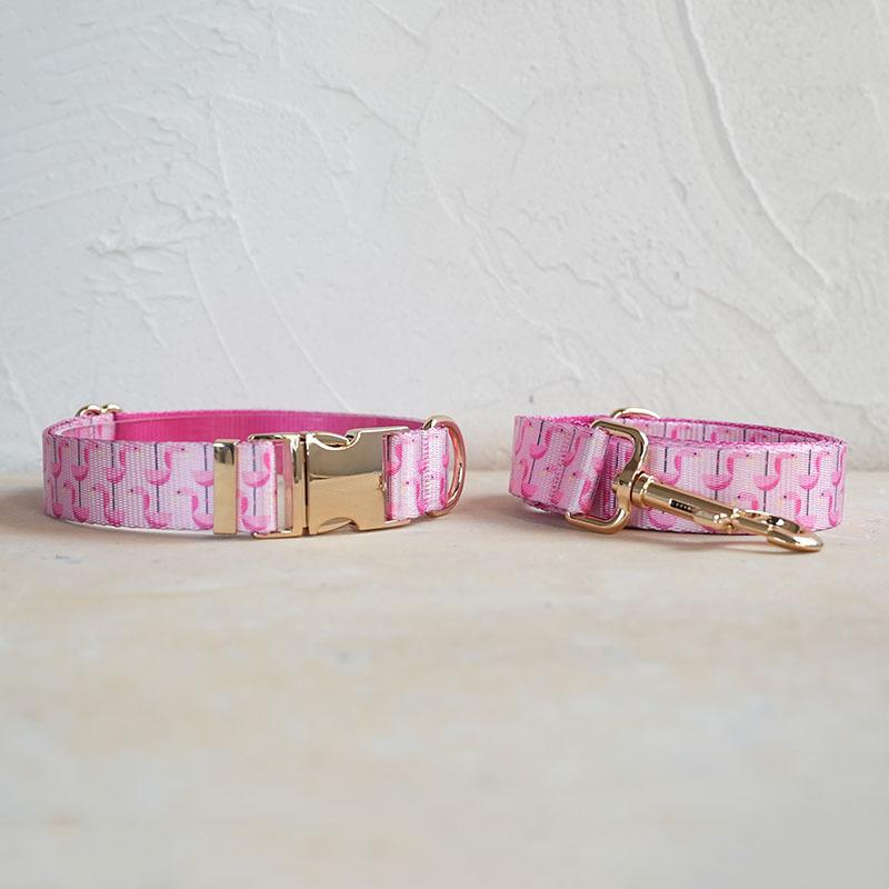 Self-Designed Soft Dog Collar And Leash Set