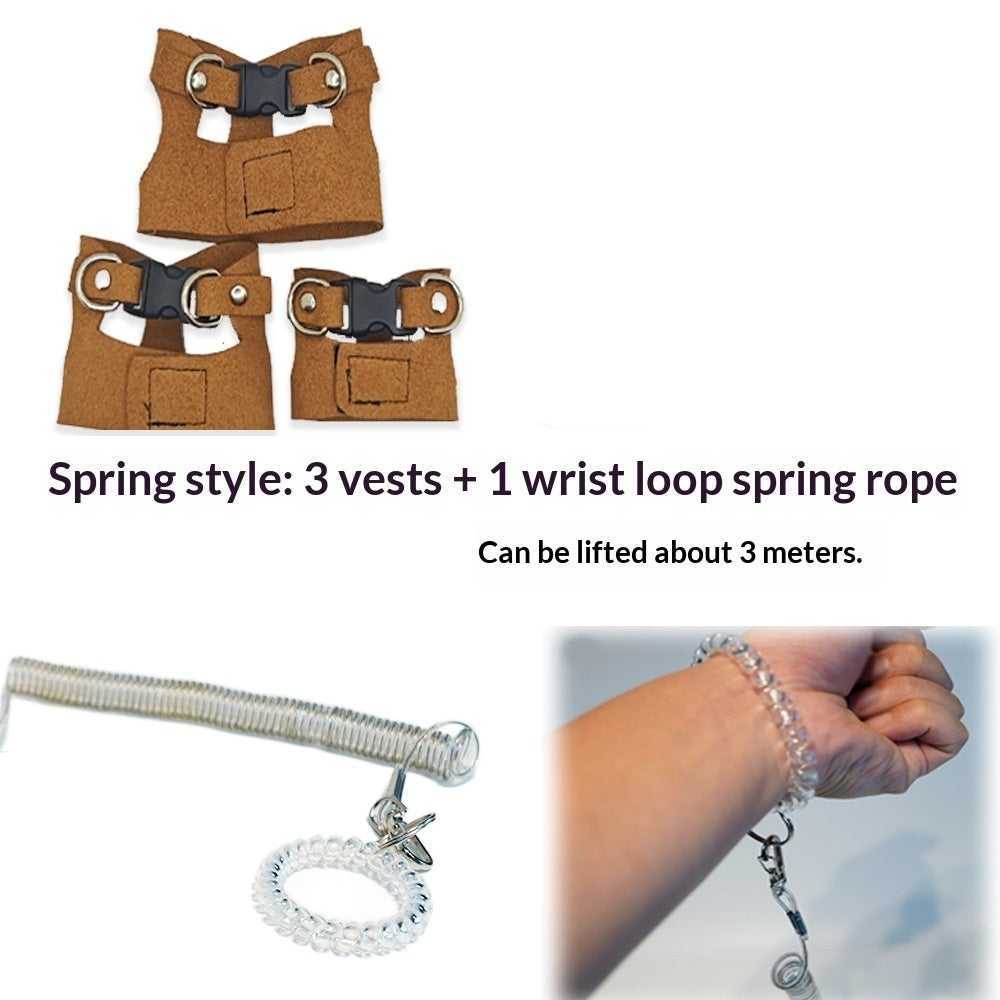 Lizard Chameleon Squirrel Pet Outdoor Chest And Harness