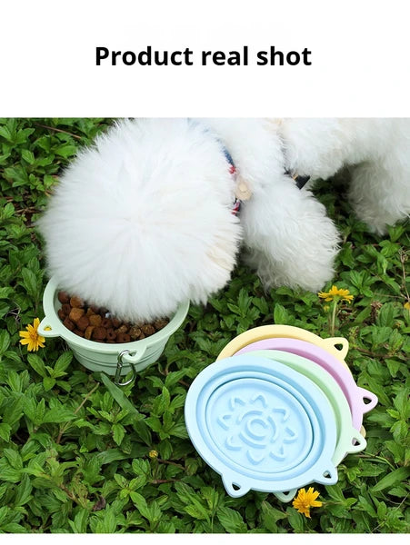 3-In-1 Collapsible Slow Feeder Dog Bowl
