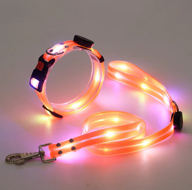 Rechargeable LED Collar and Nylon Leash