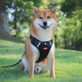 Adjustable Breathable Reflective Dog Harness Vest