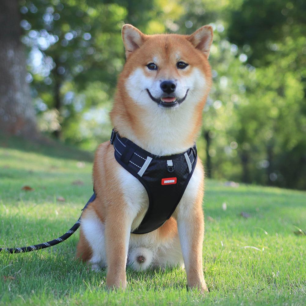 Adjustable Breathable Reflective Dog Harness Vest