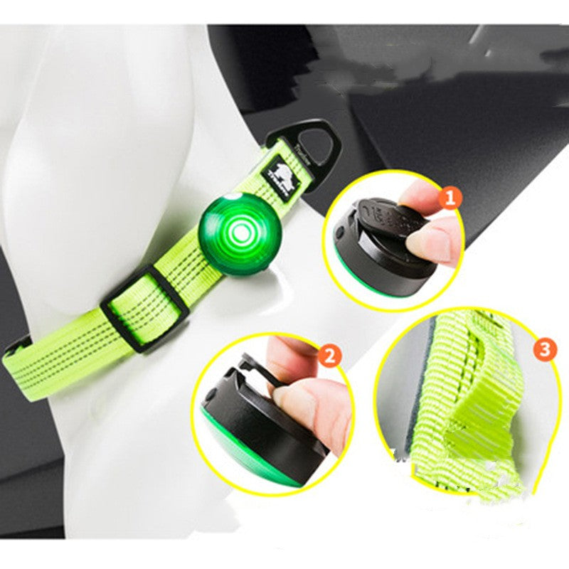 Dog Led Light Anti Stray Glow At Night