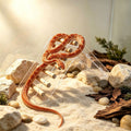 Wooden Pet Climbing And Sliding Toy
