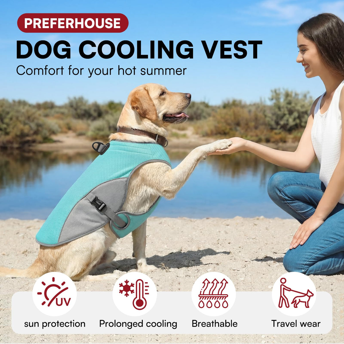 Large Dog Reflective Mesh Cooling Vest