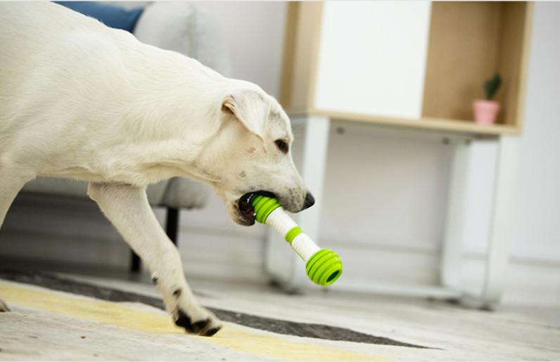 Guiwei Happy Bone Electric Automatic Dog Toy