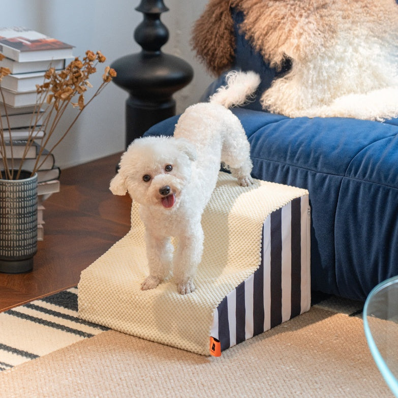 Dog Stairs and Pet Ramp