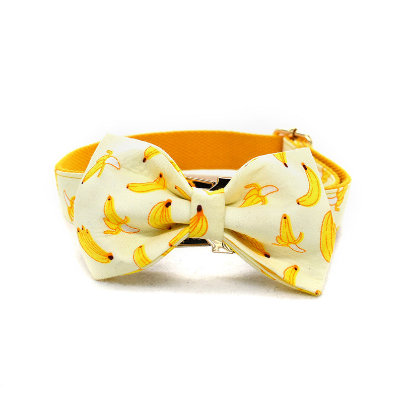 Gold Buckle Rope Dog Collar