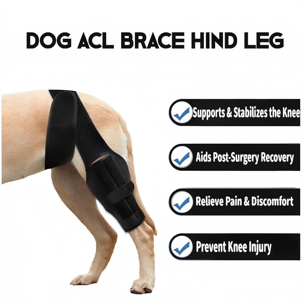 Adjustable Dog Knee Brace for Hind Leg