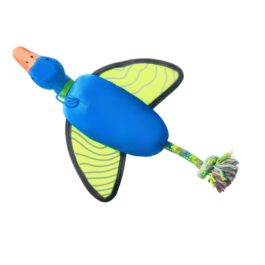 Chew-Resistant Squeaky Dog Toss Toy