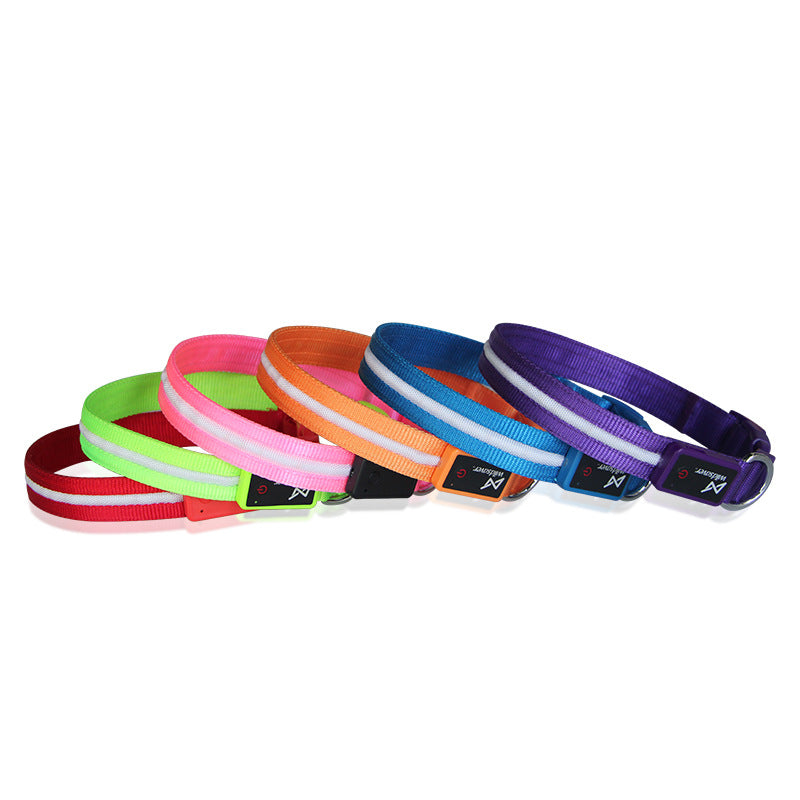 USB Charging Luminous Pet Leash
