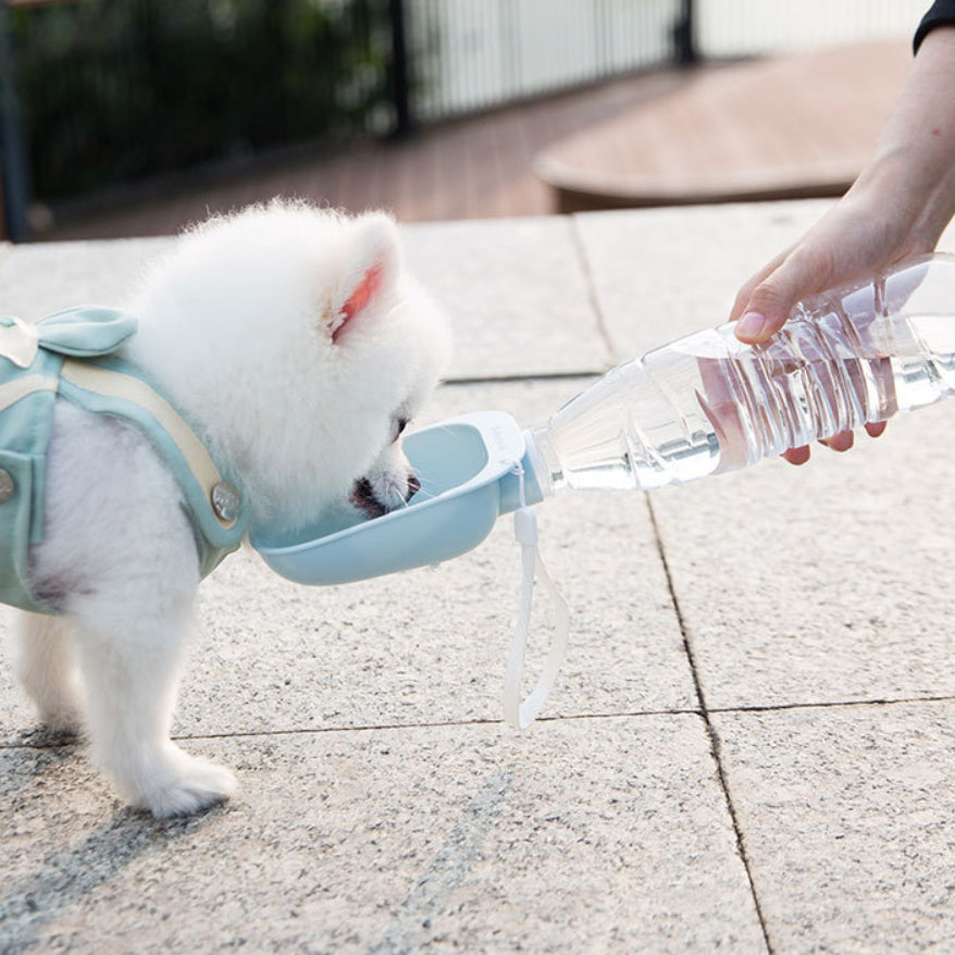 Portable Pet Water Feeder Attachment
