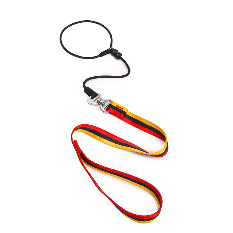 Minimalist Pet Leash Easy-To-Extend Design For Medium And Large Dogs