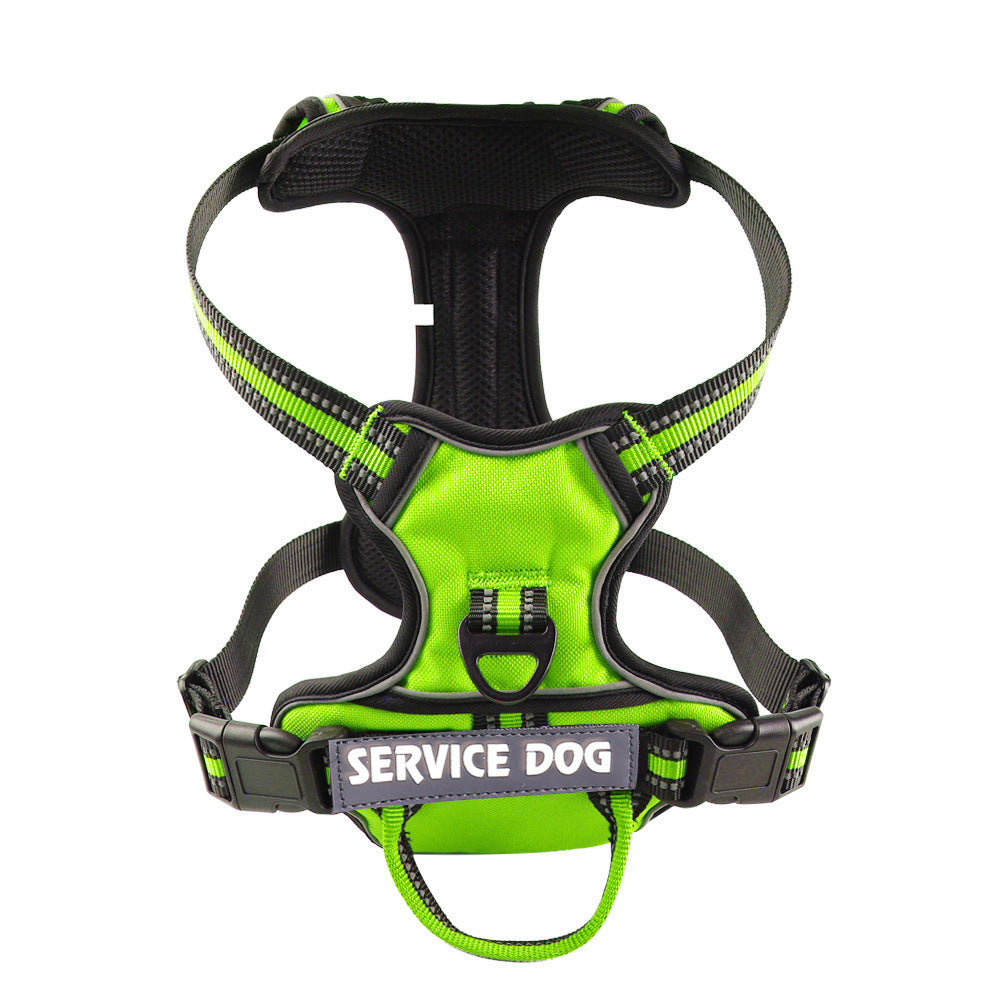 Personalized Oxford Dog Back Strap