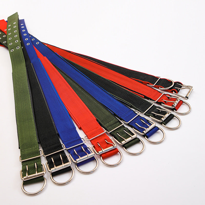 Pp Braid Lined Polypropylene Pet Foam Dog Collar